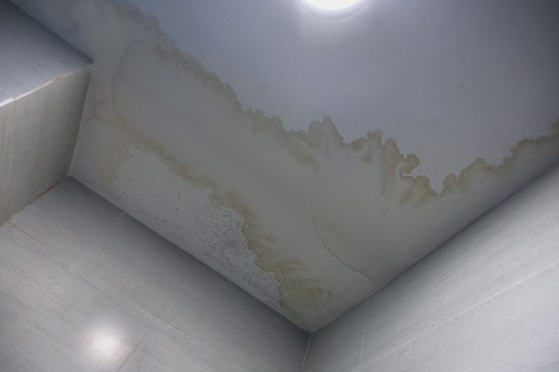Ceiling Crack Repair in Conroe, TX
