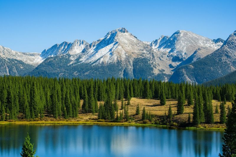 Local Drywall Repair Service in Lafayette, CO