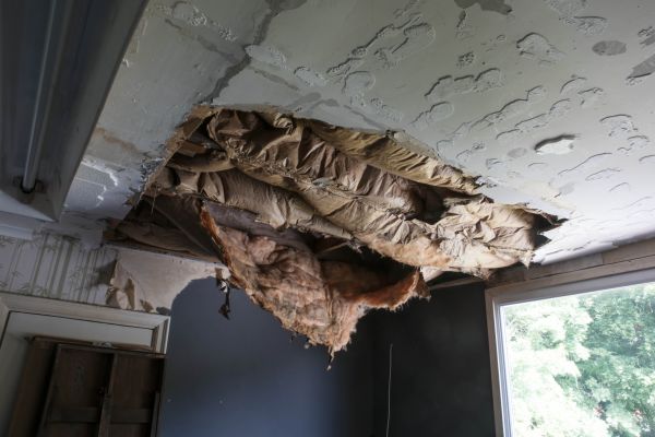 Ceiling Insulation Repair